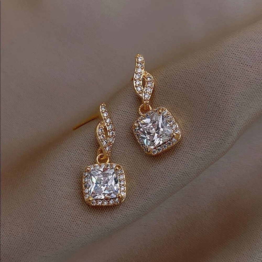 Fashion earrings